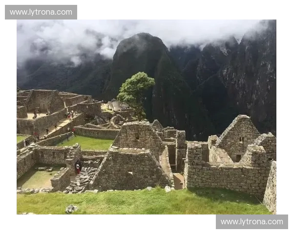 探秘开云官方地址:踏入奢华世界的最佳通道 探秘开云官方地址:踏入奢华世界的最佳通道